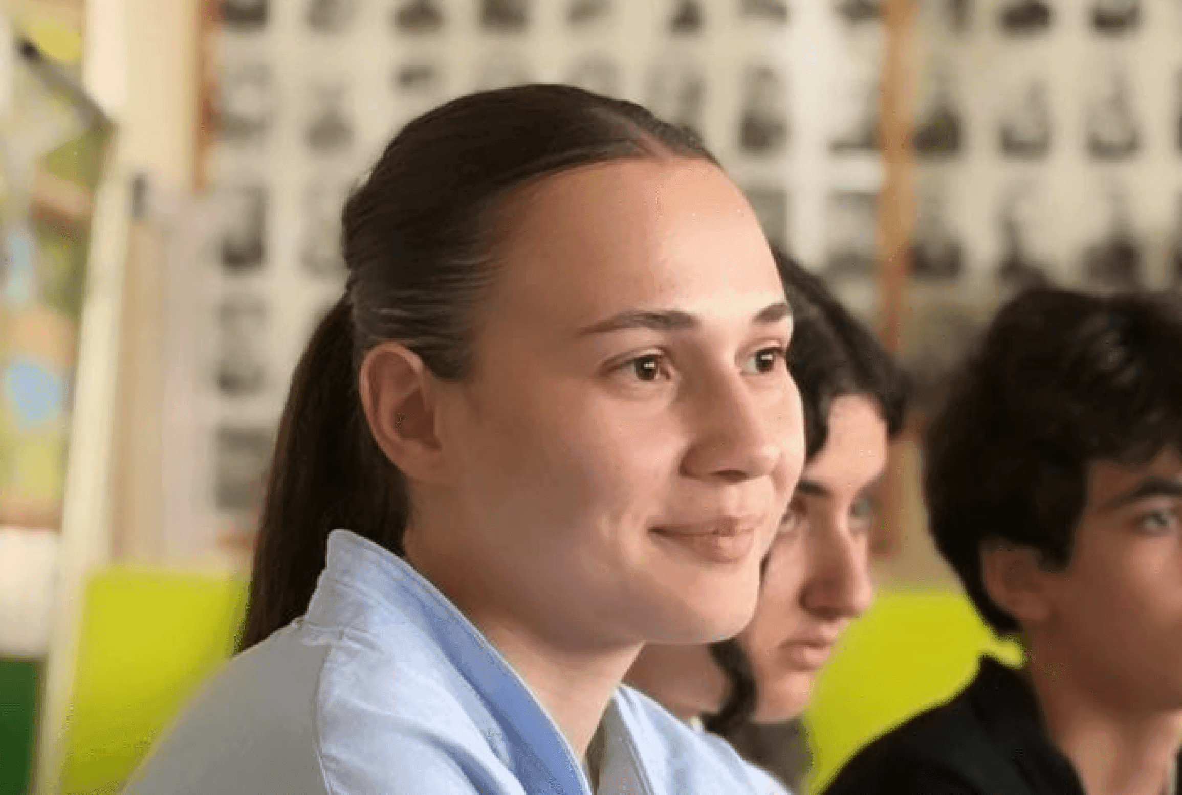 Ինչպես է աշխատում ՄԵՄ-ի կրթական շղթան